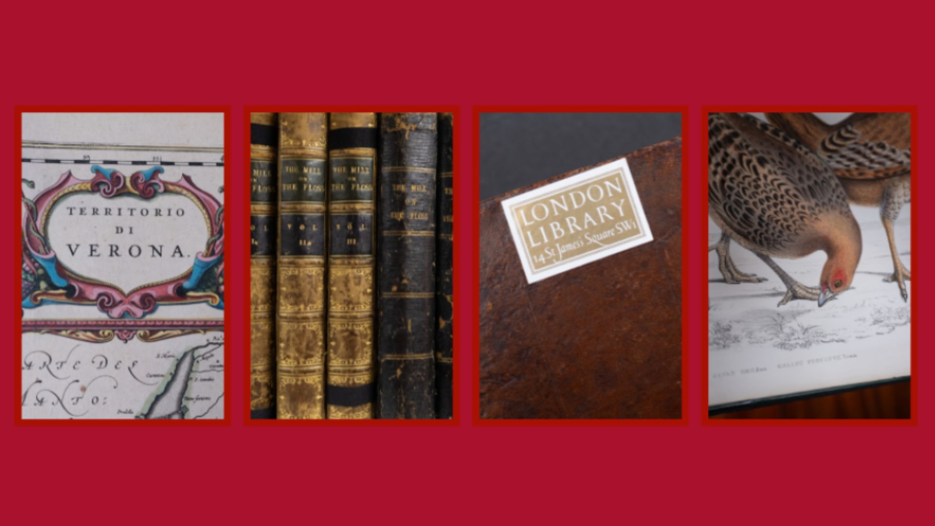 Lib fund collage